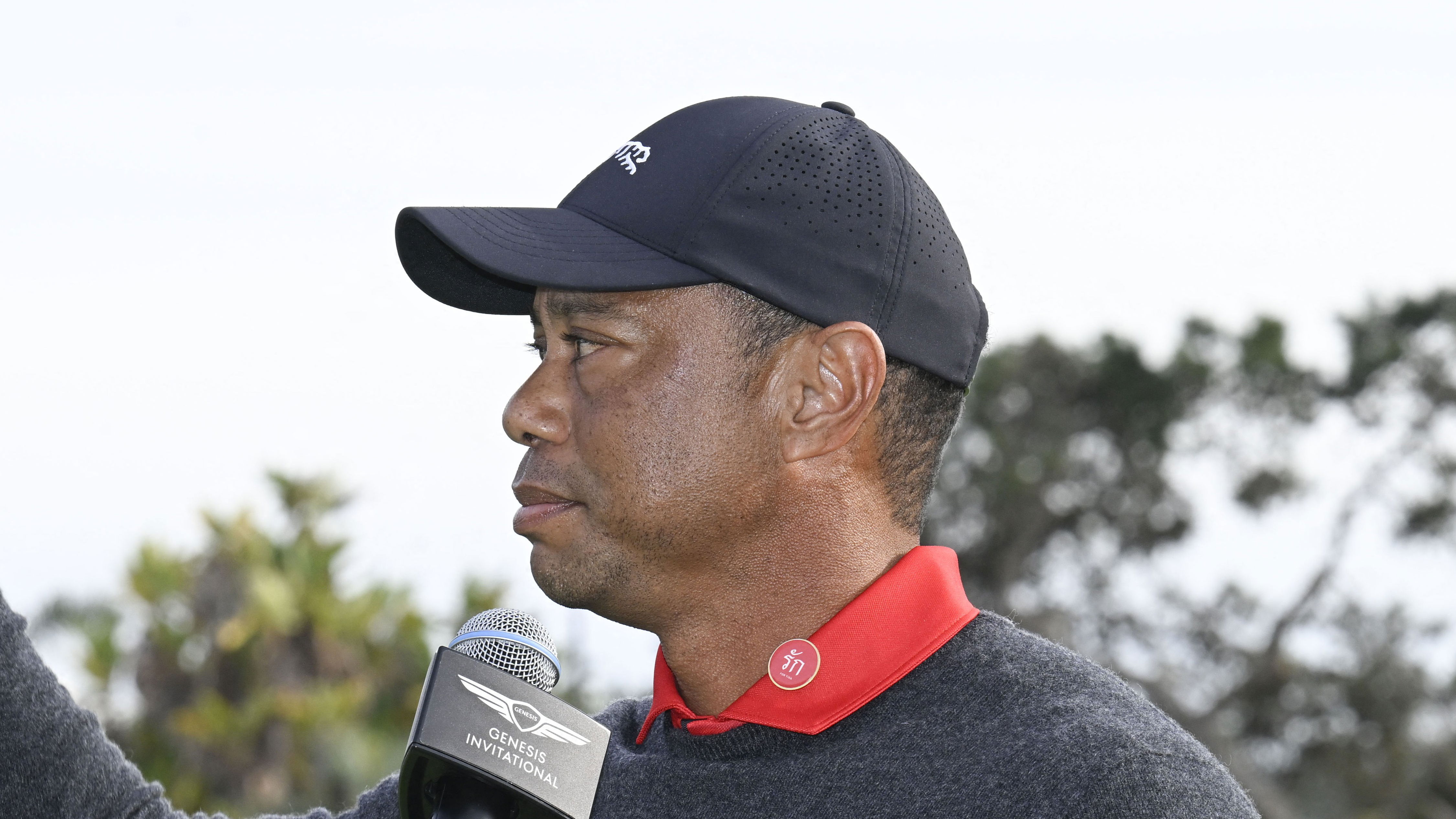 Tiger Woods